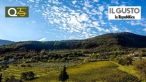 La rivoluzione dei vini del Sannio DOP: una terra in fermento
