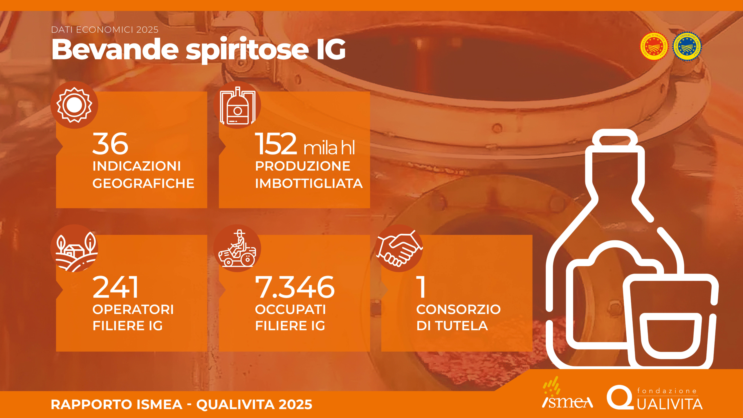 Infografiche-Rapporto20256