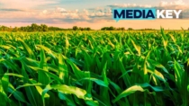 Purina verso l’agricoltura rigenerativa: la forza di un network europeo multi-stakeholder