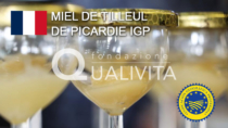 Miel de tilleul de Picardie IGP - Francia