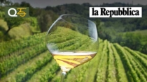 I sapori del Collio DOP in viaggio lungo l
