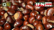 Castagna: i prezzi corrono ma i volumi rallentano