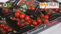 Export e sostenibilità, il Pomodoro di Pachino IGP guarda avanti