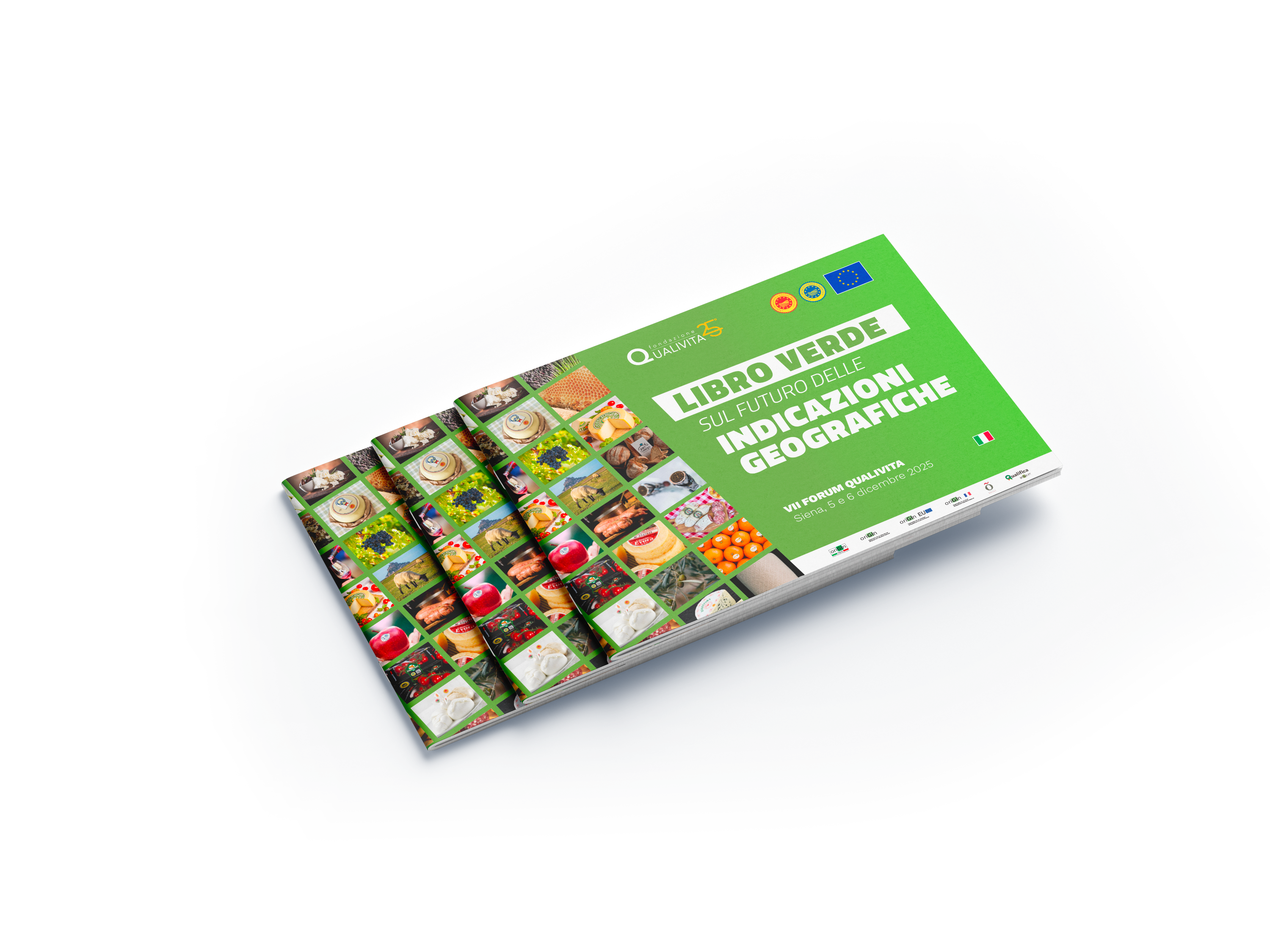 LIBRO VERDE