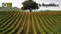 Vitigni da riscoprire, export e reputazione nel mondo: il vino Sicilia DOP punta in alto