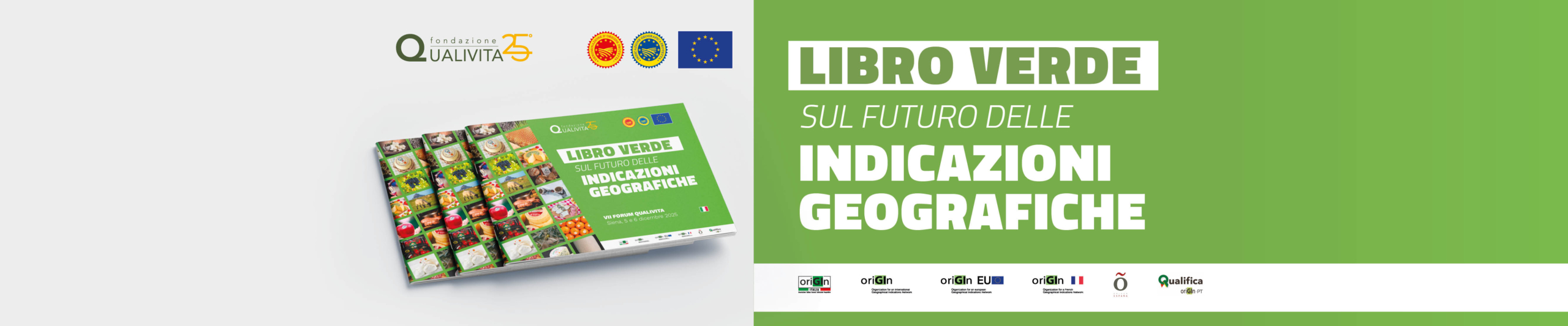 Slide home - Libro Verde