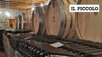 I produttori di vino alle prese con grandi giacenze nelle cantine
