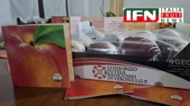 Verona rilancia la qualità: Radicchio e Pesca IGP indicano la direzione