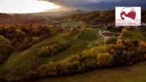 Turismo DOP: uno strumento di sviluppo sostenibile tra Asolo e Montello