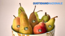 Pera dell’Emilia-Romagna IGP: notorietà e vendite in aumento