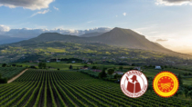 Il Consorzio Vini Sannio racconta il territorio al Vinitaly 2026