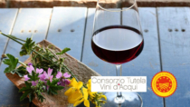 Il Consorzio Tutela Vini d