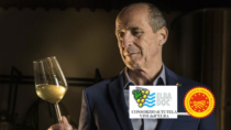 Consorzio di tutela dei Vini dell