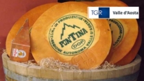 Nasce il Distretto del cibo della Fontina DOP