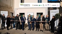 Nasce il polo vitivinicolo del Triveneto: Organismi di controllo, Consorzi e istituzioni insieme per la tutela del vino italiano