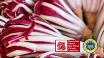 Treviso PRO: miglioramento innovativo e sostenibile del radicchio