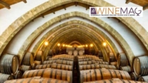 Governance e identità: il nuovo corso del Consorzio Vino Marsala
