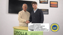 Cipolla Bianca di Margherita IGP: Giuseppe Giacomantonio nuovo presidente del Consorzio