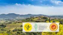 Vino, i Consorzi di collina del Friuli Venezia Giulia siglano l’accordo per la promozione congiunta