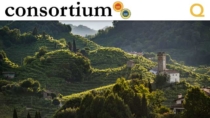 Enoturismo e territori vitivinicoli: sfide e opportunità