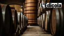 Stagione decisiva per il vino italiano tra sfida dei mercati e conflitti