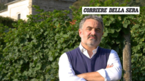 Vini di Valtellina, il Consorzio scommette sul futuro: crescita, qualità e nuovi vignaioli