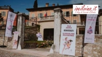 Turismo DOP: il Consorzio organizza "La prima del Valtènesi"