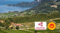 Consorzio Vini Bardolino: uve sane e qualità alta, vendemmia degna del centenario