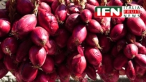 Cipolla Rossa di di Tropea Calabria IGP e innovazione digitale