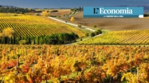 Toscana: il percorso di valorizzazione dei Consorzi del vino