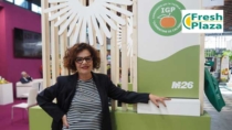 Clementine di Calabria IGP: "Certificazione e trasparenza per le sfide del mercato"