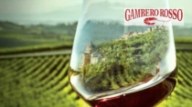 Fenomeno sottozone: la mossa che sta cambiando il vino italiano