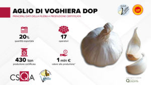 AGLIO DI VOGHIERA
