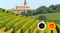 L’Oltrepò Pavese a Vinitaly: protagonisti il Pinot Nero e il Classese