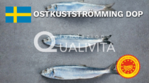 Ostkustströmming DOP - Svezia