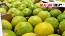 Bergamotto di Reggio Calabria, il Tar deciderà a settembre ma non accoglie la sospensiva dell