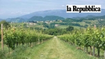 Turismo DOP: il Veneto guida l’Italia e vale quasi 5 miliardi di euro