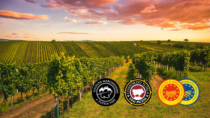 Regione Marche leader nazionale del biologico: il 40% dei vigneti certificati