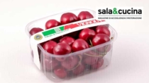 La Ciliegia di Vignola IGP tra sfide di mercato e mixology