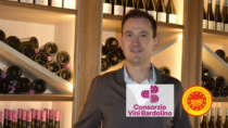 Consorzio vini Bardolino: Fabio Dei Micheli confermato presidente