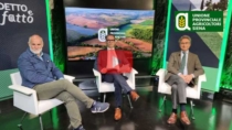 Dop economy: valore, mercato e filiere