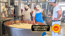 Consorzio del Parmigiano Reggiano: due borse di studio dedicate alla formazione dei giovani