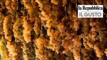 Cinque Terre Sciacchetrà DOP, il vino eroico salvato dai giovani