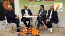 Le DOP e IGP della Sicilia lanciano una collaborazione fra Consorzi di Tutela