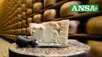 Parmigiano Reggiano DOP: USA primo mercato estero, export +2,5% nei primi cinque mesi