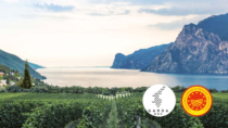 Il Consorzio Garda DOC celebra i suoi 30 anni a Festivaletteratura 2026