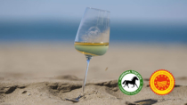 Il vermentino della Maremma Toscana DOP tra i protagonisti mondiali