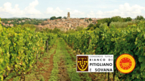 Il Bianco di Pitigliano DOP festeggia 60 anni, a giugno un convegno tra storia, ricerca e prospettive future