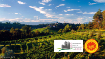 Colli di Conegliano DOCG: il Consorzio traccia la rotta e chiama il territorio a fare squadra