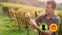 Consorzio Tutela Valcalepio: confermato Marco Locatelli alla guida